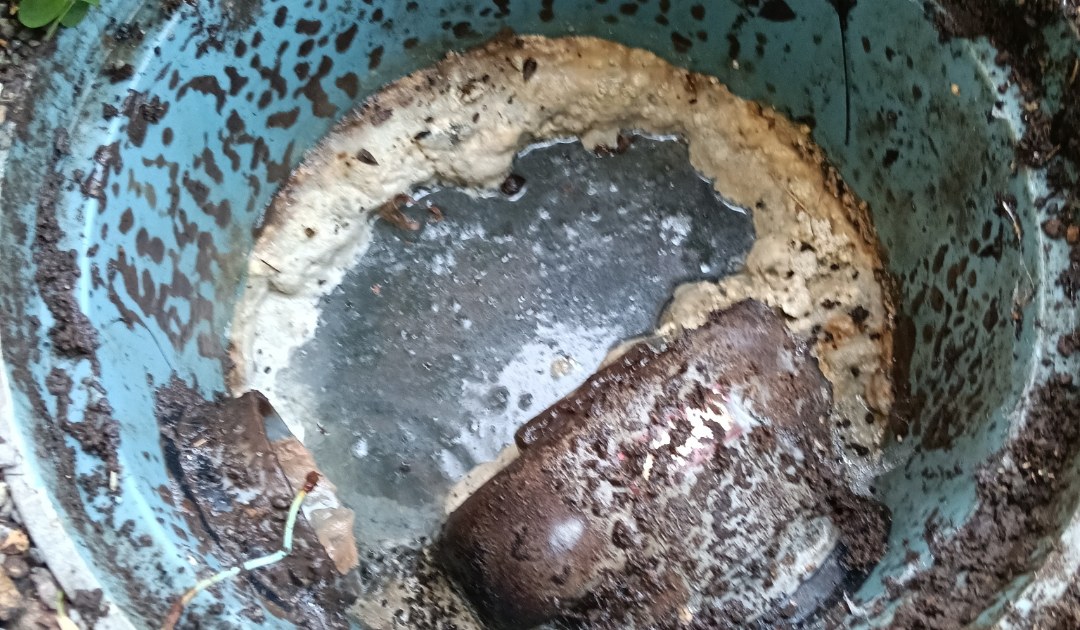 洗浄前の汚水枡。油の膜と汚れがこびりついている