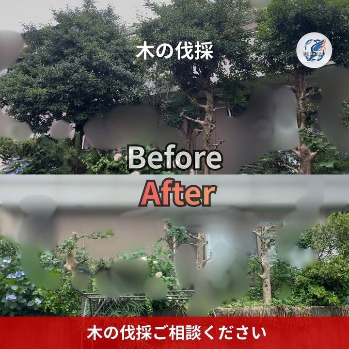 2026年7月10日のInstagramの投稿